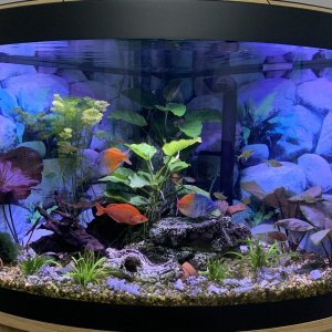 tank2024.jpg