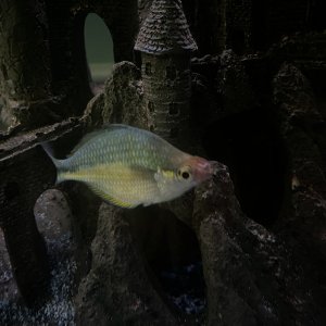 IMG_7963.jpeg