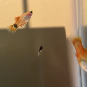 IMG_7689.jpg