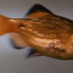 1000007841.jpg