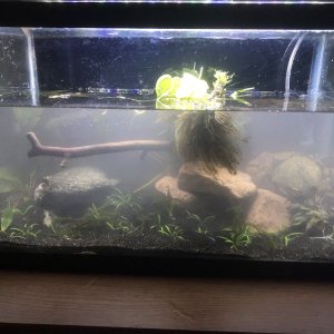 10g.jpg