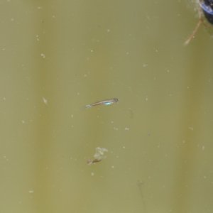 IMG_2675.JPG