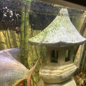 IMG_5507.jpeg