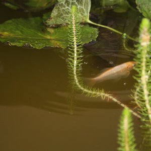 IMG_2853.JPG