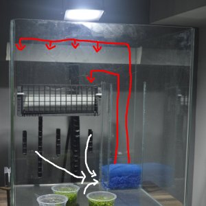 img.jpg