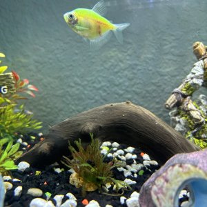 IMG_8063.jpeg