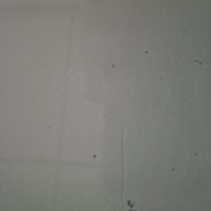 20240725_174959.jpg