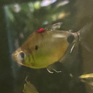 IMG_5881.jpeg