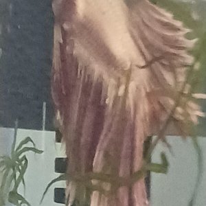 20240907_153051.jpg