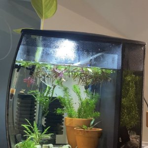 No.6 Fry Tank.jpg