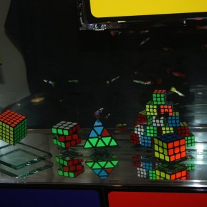 75328599_995292354155190_3628078240662290432_n.jpg