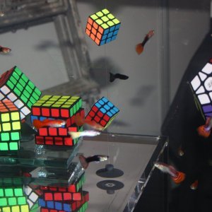 75478520_995291870821905_8943404602254950400_n.jpg