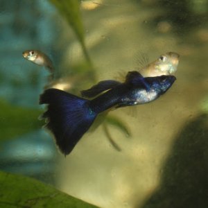 IMG_6496a.jpg