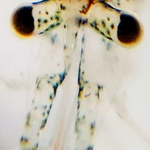 20250224_234619.jpg