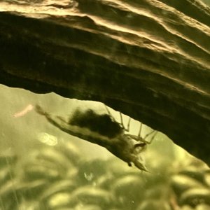 IMG_7525.jpeg