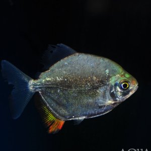 IMG_7535.jpeg