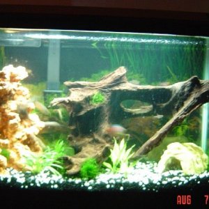 30gal.JPG