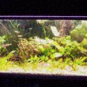 Tank1.GIF