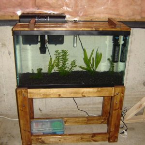finishedsetup.JPG