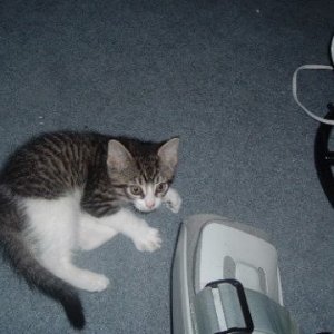 0000_009.jpg