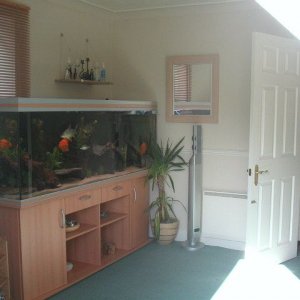 PICT0003.JPG