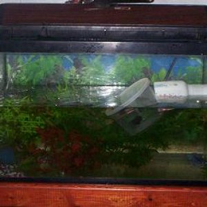 100_2322.JPG
