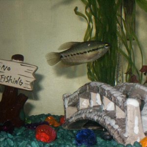 PICT0142.JPG
