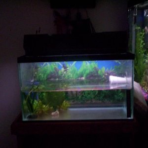 100_2663.JPG