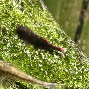 IMG_7578.jpeg