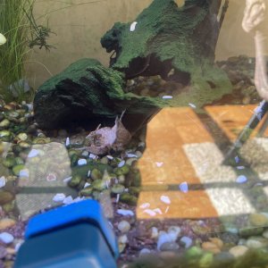 IMG_1559.jpeg