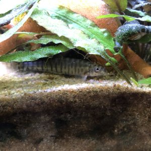 IMG_1698.jpeg