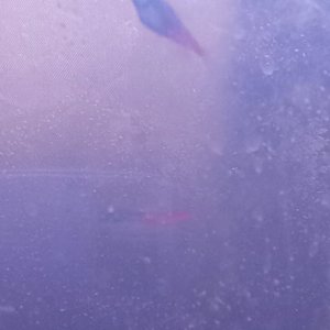 20250313_081233.jpg