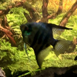 IMG_7668.jpeg