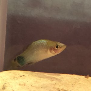 IMG_2708.jpeg