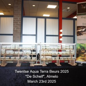 TAEB2025.jpg