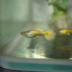 IMG_6975.JPG