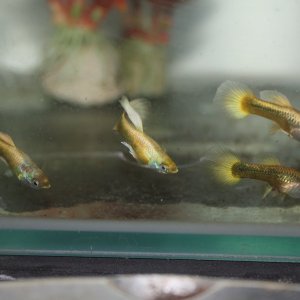 IMG_6977.JPG