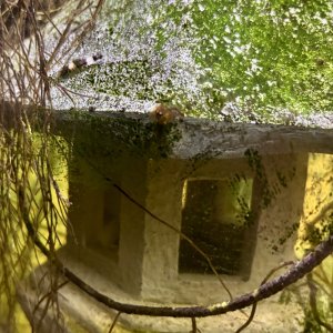IMG_7694.jpeg