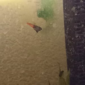 20250329_121831.jpg