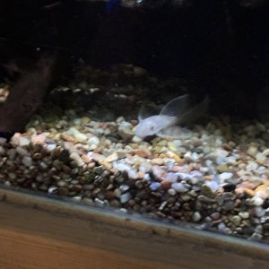 IMG_7722.jpeg
