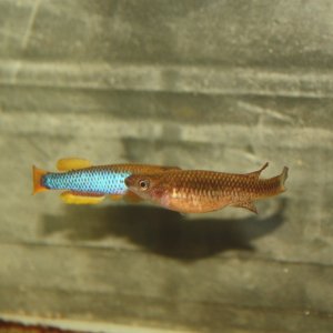 IMG_7145.JPG