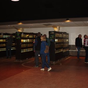 IMG_7015.JPG
