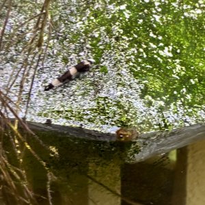 IMG_7832.jpeg