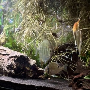 IMG_7849.jpeg