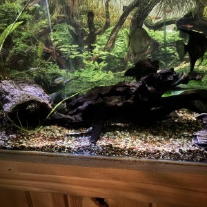IMG_7855.jpeg