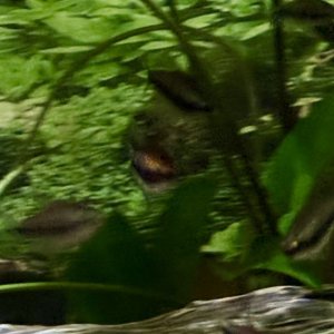 IMG_7857.jpeg