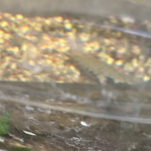 IMG_7860.jpeg