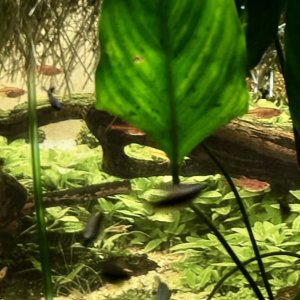 IMG_7862.jpeg