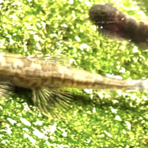 IMG_7891.png