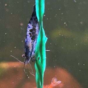 IMG_002970.jpg